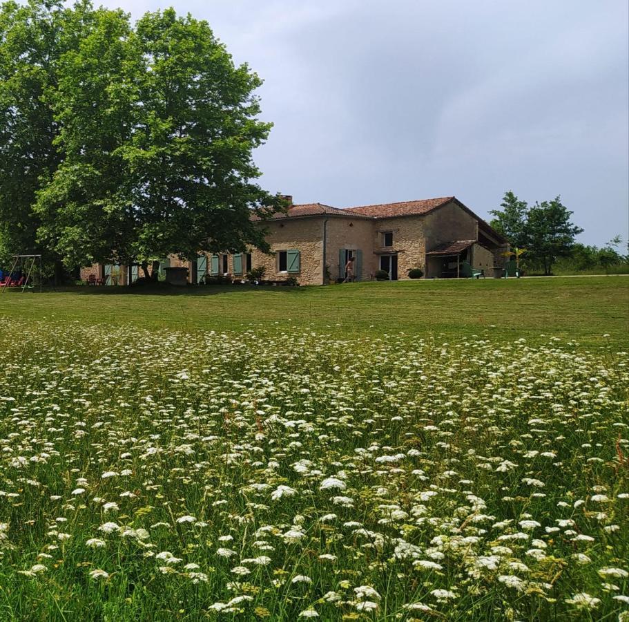 Le Haut Sechoir Buzet-sur-Baise Bagian luar foto